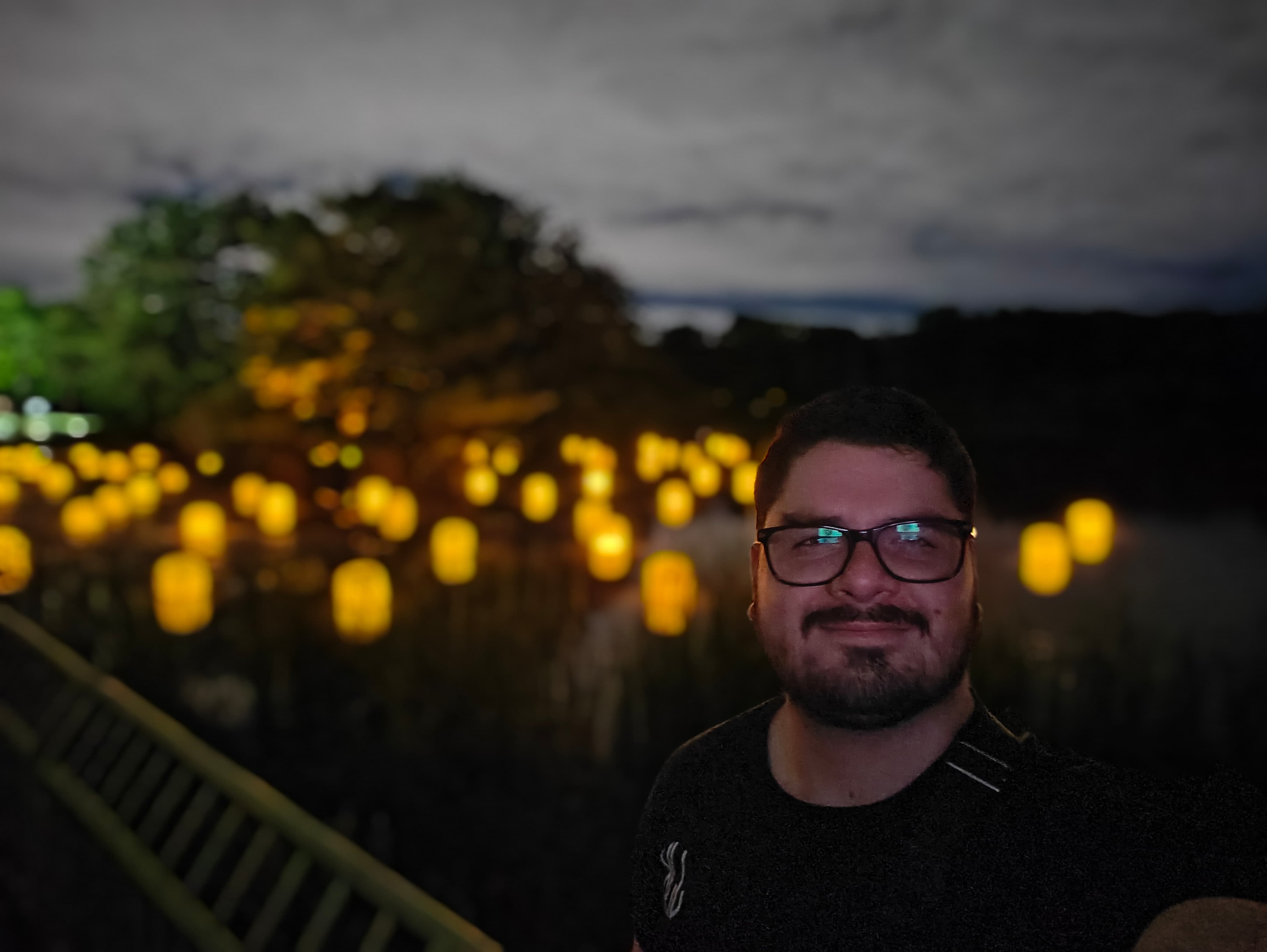 José Guillén - Night garden scene